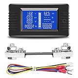 DC Batterie Meter, 0-200V LCD Anzeige DC Multifunktions Batteriemonitor Messgerät Voltmeter Amperemeter Entladungsstroms, Entladungskapazität with 100A shunt für Autos RV Solar System