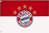 FC Bayern Fahne Originalware Flagge 100 x 150 cm Motiv LOGO + Ösen Service