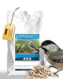 Futterbauer 10 kg Geschälte Sonnenblumenkerne für Vögel, 100% Natur, Nährstoffreiche Energiequelle für Wildvögel, Ohne Schalen & Abfall, Ideal für Futterstellen, Frisch & Hochwertig, Ernte 2025