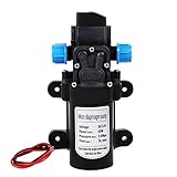 Wasserpumpe, Druckpumpe Wasser mit Druckschalter, Automatisch, Hochdruck, 12 V, 60 W, 5 l/min DC, Membranpumpe, Selbstansaugend für die Autowäsche