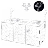 Fischzucht Kasten mit Saugnäpfen, Isolationsbox Aquarium, Acryl Aquarium Isolationsbox, Aquarienfisch-Zuchtbox Transparente Fische Sämlinge Inkubator Brutkasten, AufzuchtbeckenAquarium für Babyfische