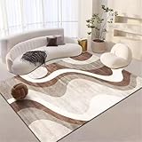 Vorzimmer Teppich The Carpet 120X160CM Moderner, minimalistischer Wohnzimmerteppich mit abstraktem Kurvendesign, waschbar Kinderzimmer Teppich