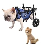 KAJILE Zweirädrige Klappbare Hunde-Rollstühle,Hinterbein-Rollstuhl für Kleine Haustiere,Verstellbarer Hunderollstuhl für Hinterbeine,Blau,S