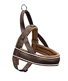 HUNTER RACING Norwegisches Gurtzeug, XL, 68-90 cm braun/cognac