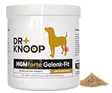 HGM Gelenkpulver für ältere Hunde, mit Grünlippmuschel, Teufelskralle & Glucosamin für mehr Bewegungsfreude, entwickelt vom Tierarzt Dr. Knoop, mit leckerem Vanille Geschmack, 2 x 450g