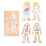 ifundom Mehrschichtiges Holzpuzzle Kinderkörper Lernspielzeug Pädagogisches Montessori Puzzle für Mädchen Ab Jahren Kreativitätsförderndes Sicheres und Glattes Puzzle zur Früherziehung