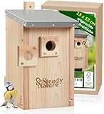 Steady Nature Nistkasten Meisen für Blaumeisen und Kohlmeisen - Meisennistkästen zum Aufhängen - Meisenkasten - Vogelhaus nach NABU - Vogelhotel - Brutkasten für Vögel