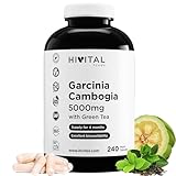 Garcinia Cambogia 5000 mg. 240 vegane Kapseln für 4-monatige Kur. Natürliches Garcinia Cambogia 60% HCA mit natürlichem Grüntee. Hergestellt von HIVITAL