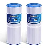 POOLPURE 2 stück Spa Hot Tub Filter 4-Unzen-Filtermedien Ersatz für Unicel C-4326 Pleatco PRB25-IN Filbur FC-2375 (rechnung vorhanden)