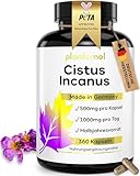 360 Cistus Incanus Kapseln hochdosiert - 1000mg reines Zistrosenkraut pro Tagesdosis (2 Kapseln) - Halbjahresvorrat
