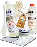 AGO Set 4-teilig Schimmelentferner & Schimmelstop je 500ml/ hochkonzentriertes Anti Schimmel Mittel mit Pinsel & Sprühflasche – stärker als herkömmliche Schimmel Entferner