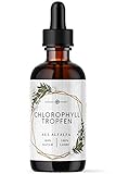 Nordic Pure Chlorophyll flüssig aus Luzerne 100 ml, 200 mg pro Tagesdosis Chlorophyll-Tropfen als Alternative zu Chlorophyll-Tabletten
