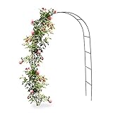 Hi Gartenbogen für Kletterpflanzen und Rosen – 140 x 240 x 37 cm – Gartentür – Rosenbügel Metall – für EIN Märchenmotiv im Garten