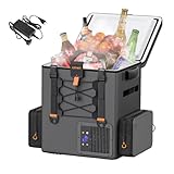 Litheli FrozenPack Kompressor Kühlbox 20L, 12V/240V Auto Kühlbox Rucksackkühlschrank mit AC Adapter für Hausgebrauch in Innenräumen, Notfälle, 15 Minuten Schnellkühlung, ohne Akku