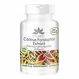 Forskolin Kapseln - hochdosiert - Coleus Forskohlii Extrakt - 60 Kapseln | HERBADIREKT by Warnke Vitalstoffe