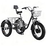 flatpincololee Elektro Dreirad Fahrrad für Erwachsene 20'x4.0' – 48V 12Ah Herausnehmbarer Power, 350W Motor, Vorderradfederung, Mechanische Scheibenbremsen, Stabiler Tiefer Einstieg, Nicht Klappbar
