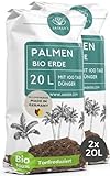 Bio Palmenerde 40 L (2x20L) - Blumenerde Zimmerpflanzen Erde aus 45% weniger Torf - Erde für Zimmerpflanzen mit Dünger - Zimmerpflanzenerde - Pflanzenerde Zimmerpflanzen - Erde für Pflanzen