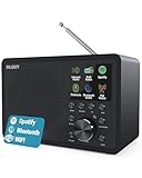 Internetradio WLAN | DAB+ Radio mit Bluetooth | DAB Plus Radio Küchenradio | Internet WLAN mit DSP Lautsprecher | Digitalradio | Frontier Oktiv App Fernsteuerung | MAJORITY Touro
