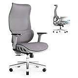 JOYFLY Ergonomischer Bürostuhl, Schreibtischstuhl mit Verstellbarer Sitz, Computerstuhl PC-Stuhl mit 3D-Armlehne Kopfstütze, Atmungsaktiver Mesh Office Chair 200kg Erwachsene, Drehstuhl(Grau)