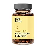Gute Laune Kapseln in Apothekenqualität | Für mehr Freude im Alltag | Hochdosiert mit Griffonia, L-Tyrosin, B-Vitaminen, Zink, Eisen u.v.m. | 100% vegan & natürlich | Hay Herb