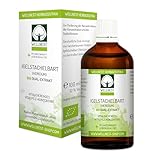 Bio Lion´s Mane Dual-Extrakt, Igelstachelbart Konzentrat, Vitalpilz Tinktur (Hericium erinaceus) - Wellnest Pflanzenkraft Urtinktur