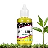 Wurzel Wachsen Für Pflanzen - Hochkonzentrierter Wurzelstimulator - Flüssige Wachstumsverbesserer Für Blumen Bäume Rasen Innen Garten Und Bauernhof