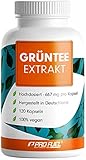 Grüntee Extrakt 120x Grüner Tee Kapseln - 1333 mg pro Tag,...