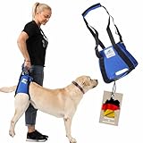 Nature Pet Tragehilfe für Hunde Hinten - Tragegurt als Treppenhilfe - Ideal für Ältere, Kranke oder Operierte - Hunde-Hebegurt (XS, Schwarz)