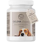 Gelenktabletten für Hunde mit MSM, Grünlippmuschel,...