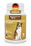 Probiotika Hund ideal mit Präbiotika - Qualität Made in Germany - Darmsanierung Hund durch Probiotika für Hunde - Beim Hund Darmflora aufbauen mit Natureflow Pets - 120 Tabletten