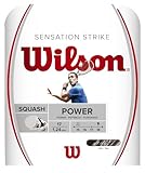 Wilson Unisex – Erwachsene Sensation Strike 17 Badminton String, White/Grey, One Size