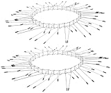 Exbuster Marderabwehr Baum: 2er-Set Marder-& Katzen-Abwehrgürtel, Edelstahl, für bis Ø 12 cm (Katzenabwehr Baum, Fallrohrschutz, Marderschreck)