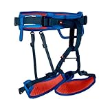 Mammut Kids Ophir Klettergurt | Sicherungsgurt für Kinder, Outdoor Kindergurt, Ausrüstung für Klettern, Absturzsicherung | Dark Cyan, One Size