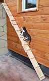 Ruhti - Katzentreppe Katzenleiter Katzenstufe für Balkon,...