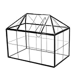 lesolar Terrarium Mini Gewächshaus Glas Geometrische...