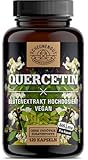 Quercetin 1000mg pro Tagesdosis - WICHTIG: 25:1 Extrakt (25000mg japanischer Schnurbaum je Dosis) I Quercetin Hochdosiert I 120 Stk I Quercetin 500mg je Kapsel -DE- SCHEUNENGUT®