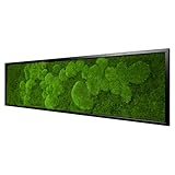 Moos Design | Moosbild in versch. Größen (Fifty Fifty...