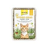 GimCat Hydro-Gras - Frisches Katzengras aus kontrolliertem...