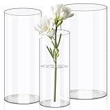 Olrla 3 Teiliges Set Transparente Acryl Blumenvase,...