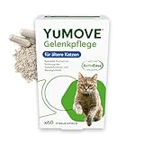 YuMOVE Grünlippmuschel Katze Gelenkkapseln - 60 Kapseln - Für ältere Katzen - Beweglichkeit und Gelenkkomfort - Mit Grünlippmuschelextrakt und Gelenk-Komplex Katze - Grünlippmuschel-Kapseln Katze