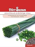 Schnittlauch Samen Grobröhriger Staro Schnittlauchsamen ca 500 Korn Küchenkräuter Kräutersamen Saatgut Balkon Garten Hochbeet Kübel Dürr Samen