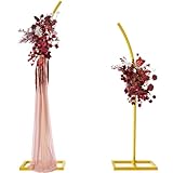 Metall Bogen Hintergrund Ständer Set (2m & 2.4m), Höheneinstellbar ballonständer Gebogene Top Hochzeit Bogen Rahmen, Hochzeit Bogen für Hochzeit Zeremonie, Geburtstag, Babyparty, Hintergrunddekoration