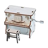 ibasenice 1 Satz Material für Handklavier Musical Bausätze Miniatur Bookshelf Decor bücherregal Dekoration musikdrehdose Holz wissenschaftliches Puzzle Holz hölzern