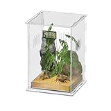 Giznzg Terrarium für Reptilien, Reptil Fütterungsbox, Acryl Terrarium mit Digitales Thermometer Hygrometer Reptilienzuchtbox für Spinne/Schnecke/Frosch/Eidechse/Schildkröte (30x18x18cm)