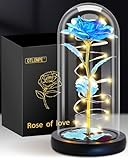 Otlonpe Geschenke für Frauen/Sie Valentinstag Ewige Rose im Glas Geburtstagsgeschenk für Frauen/Mama/Freundin/Oma, Ewige Rose mit LED Licht Muttertagsgeschenke für Mama