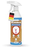 Holzwurm-Ex Spray 500ml - Holzwurm-Spray zur effektiven...