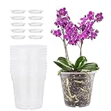 Kirgizta 10 Stück Orchideentopf Transparent Blumentopf aus Kunststoff Ø11,5cm x Höhe 11cm Orchideen übertopf Pflanztöpfe Sämlings Töpfe mit Untersetzer und Drainageloch Indoor Outdoor Balkon