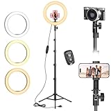 10 Zoll LED Ringlicht mit 61 Zoll Stativständer & Handyhalter, Dimmbare Tischringlicht Handystativhalter mit Ringleuchte für YouTube, Videoaufnahmen, Selfie, Live-Stream, Makeup Fotografie