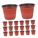 BESTonZON 60 Stück Zweifarbige Kleine Blumentöpfe Blumentöpfe Aus Kunststoff Für Sukkulenten Mini Anzuchttöpfe Sukkulenten Pflanzgefäße Für Zimmerpflanzen Anzuchttöpfe Aus Kunststoff