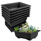 6 Stück Bonsai Schale, 16x12x6cm Topf Mit Tabletts, Kunststoff Pot, Wiederverwendbar Töpfe Geeignet für Gärten Innenhöfe Büros Wohnzimmer Balkone (Schwarz)